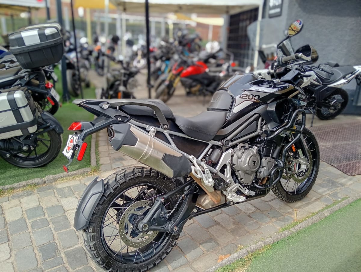 TRIUMPH TIGER 1200 RALLY PRO 20244
