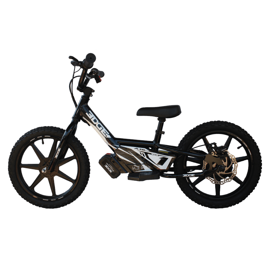 BICICLETA ELECTRICA ARO 121