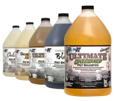 26/8 - Cómo usar shampoos concentrados para perros: dilución, higiene y buenas prácticas