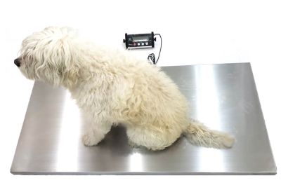 BALANZA de PISO LARGE1