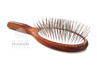 CEPILLO AEOLUS LUXURY4