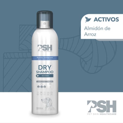 DRY SHAMPOO1