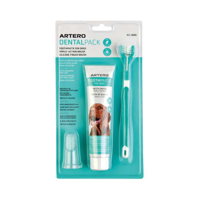 DENTAL PACK SMILE ARTERO