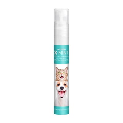 SPRAY BUCAL ARTERO X-MINT1