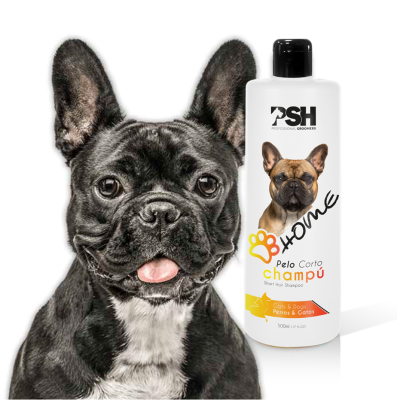 SHAMPOO PELO CORTO 500 cc