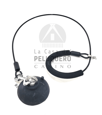 COGOTERA AEOLUS CON VENTOSA8