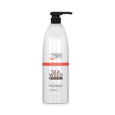 SHAMPOO SEAWEED (ALGAS MARINAS)