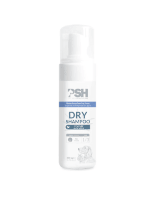 DRY SHAMPOO ESPUMA PSH1