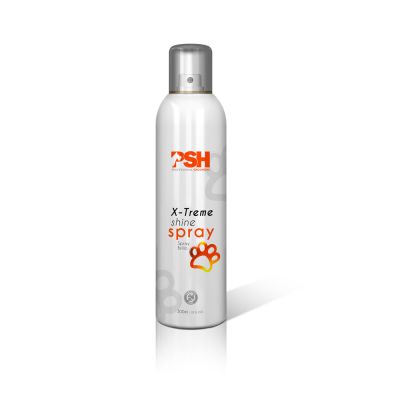 SPRAY X-TREM SHINE1