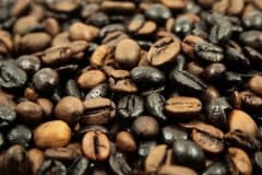 Cómo Escoger una Buena Cafetería: 5 Factores Clave para Considerar
