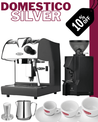 Domestico Silver