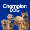 CHAMPION DOG/CAT