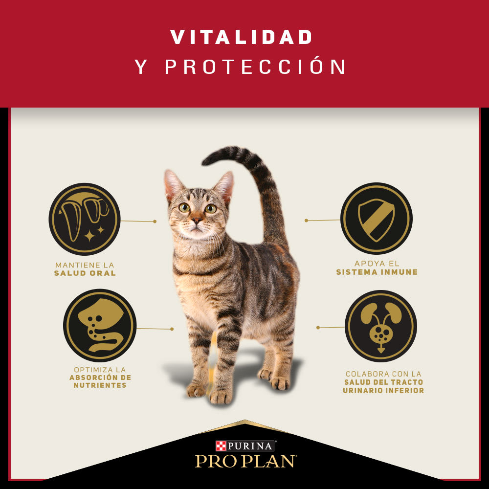 Pro Plan Gato Adulto 3kg Precio Chile | Alimento Premium Para Gatos Despacho3