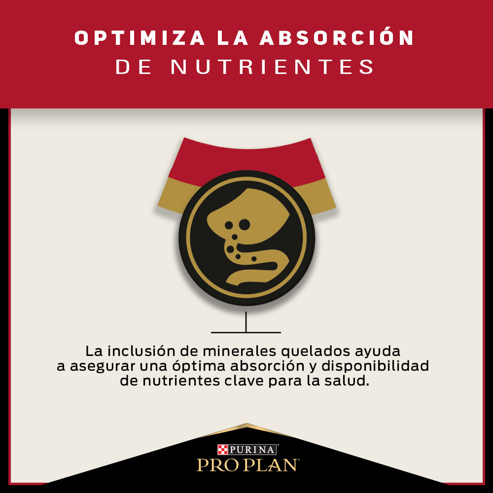Pro Plan Gato Adulto 3kg Precio Chile | Alimento Premium Para Gatos Despacho4