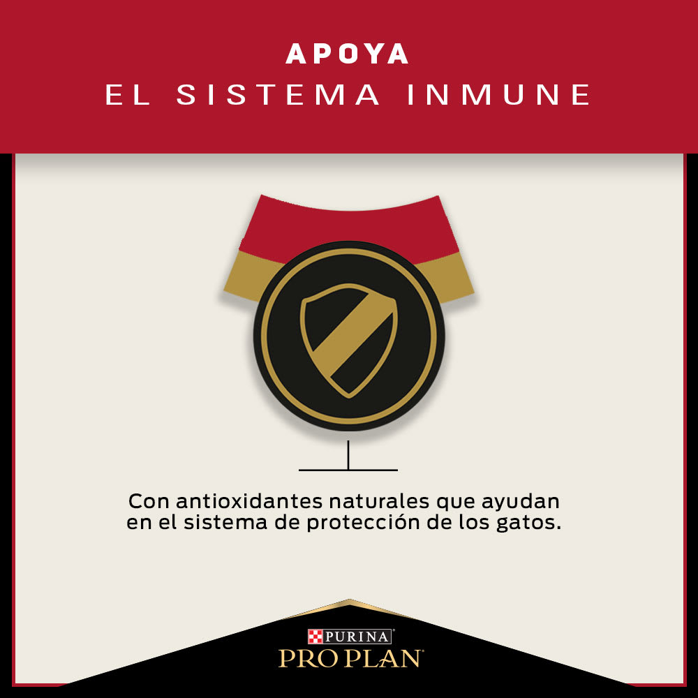 Pro Plan Gato Adulto 3kg Precio Chile | Alimento Premium Para Gatos Despacho6