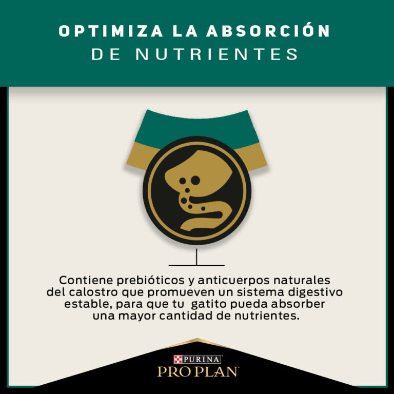 Pro Plan Kitten 3kg Precio Chile | Alimento Premium Gato Cachorro Despacho2