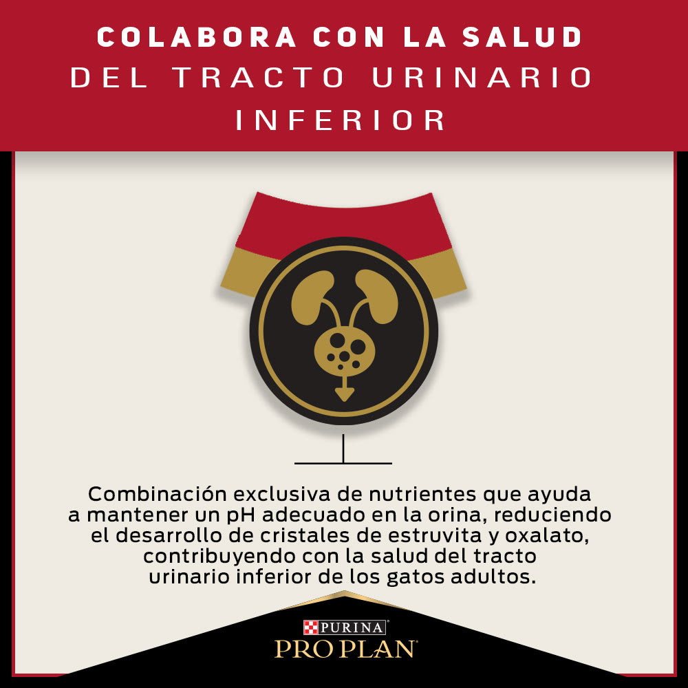 Pro Plan Gato Adulto 3kg Precio Chile | Alimento Premium Para Gatos Despacho7