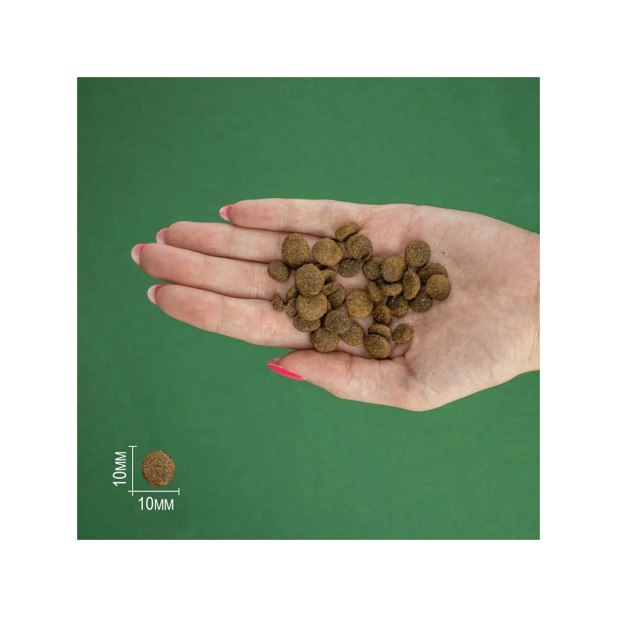 BRAVERY GATO STERILIZED POLLO 2KG – ALIMENTO PREMIUM PARA GATOS ESTERILIZADOS | GRAIN FREE CHILE3