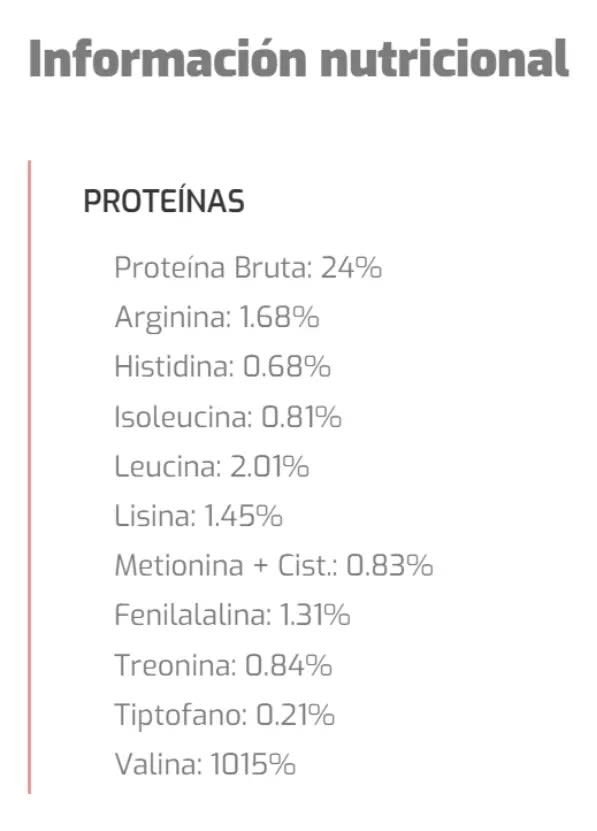 Bokato Alimento Perro Adulto 20kg Precio Chile | Comida Perro Adulto Saco 20kg Alto Rendimiento3