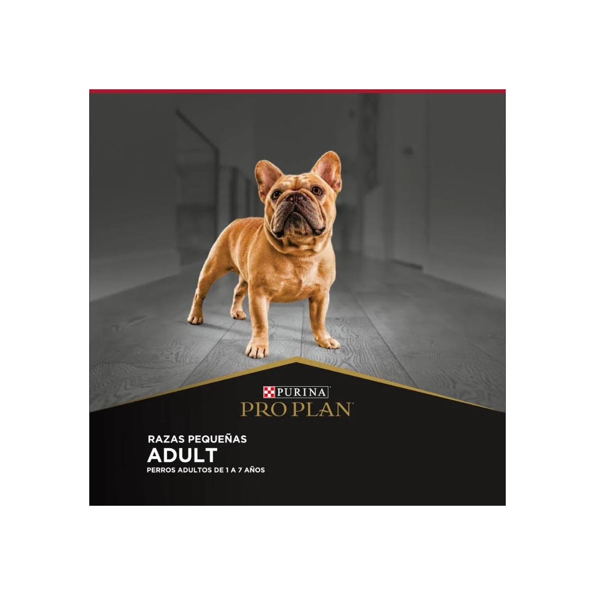 Pro Plan Adulto Raza Pequeña 3kg Precio Chile | Alimento Premium Perro Pequeño Despacho2