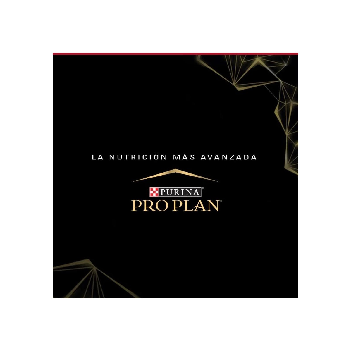 Pro Plan Adulto Raza Pequeña 3kg Precio Chile | Alimento Premium Perro Pequeño Despacho7