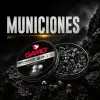 Inicio