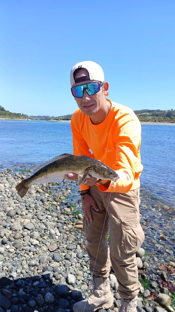 Robalo pesca de orilla en invierno