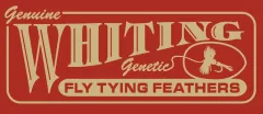 Whiting Genetic