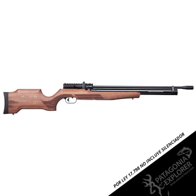 RIFLE PCP BENJAMIN CAYDEN