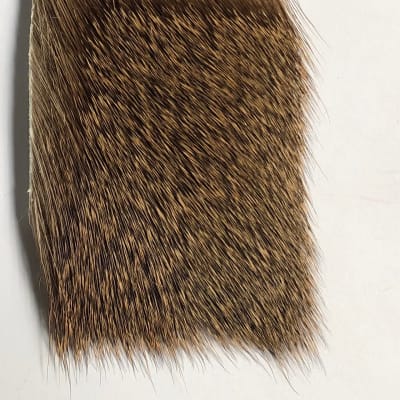 COASTAL DEER HAIR