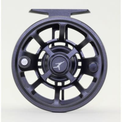 Echo Ion Reel