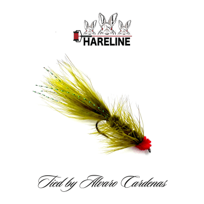 MOSCA EGG SUCKING LEECH OLIVA BY ALVARO CARDENAS