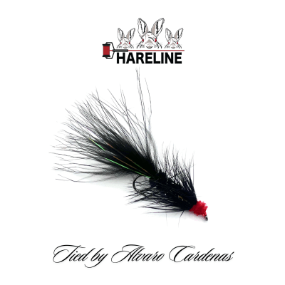 MOSCA EGG SUCKING LEECH BY ALVARO CARDENAS