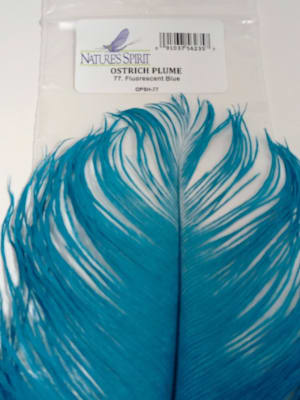 OSTRICH  PLUME