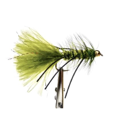 MOSCA WOOLY