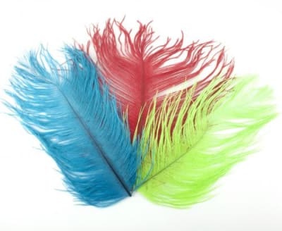 OSTRICH PIECE NATURES  SPIRIT