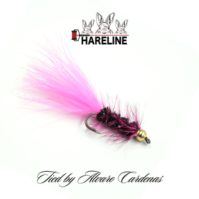 MOSCA PINK LADY WOLLY BY ALVARO CARDENAS