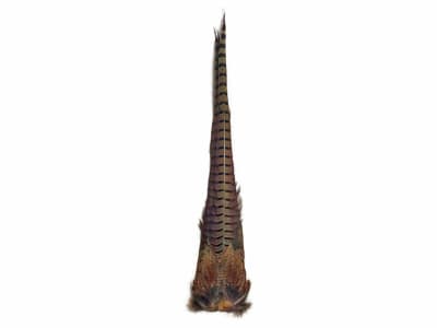 RING PHEAS COMPLETE TAIL CLUMP