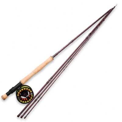 KIT OKUMA SCIERRA 6WT