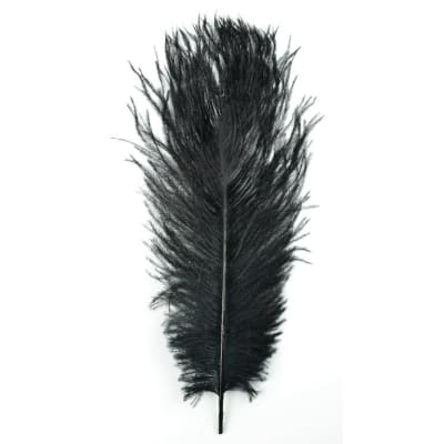OSTRICH PLUME NATURES SPIRIT
