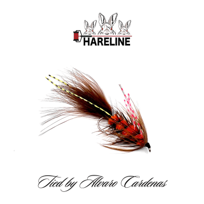 MOSCA WOLLY BROWN/ORANGE LEGS BY ALVARO CARDENAS