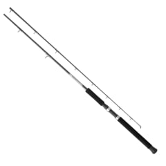 CAÑA DAIWA GREAT LAKES