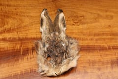 #1 HARES MASK NATURAL #242