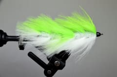 MOSCAS ARTICULADA MFC GALLOUP'S CONEHEAD BARELY LEGAL CHART WHITE