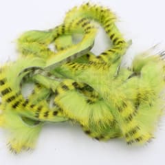 TIGER BARRED RABBIT STRIPS