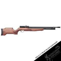RIFLE PCP BENJAMIN CAYDEN