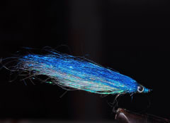 MOSCA ATÚN