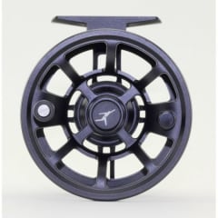 Echo Ion Reel