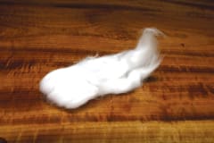 EGG VEIL MILKY WHITE HARELINE