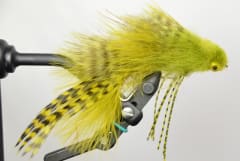 MOSCAS GALLOUP'S SILK KITTY